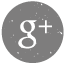 Google+